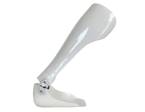 ST&G Ridgeflex Ankle Joint